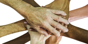 Building Education and AT Partnerships